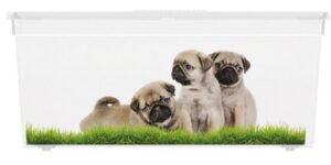 Úložný box velikosti L motiv Puppy & Kitten