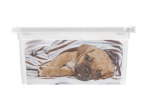 Úložný box velikosti XXS motiv Puppy & Kitten