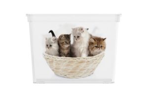 Úložný box motiv Puppy & Kitten Cube