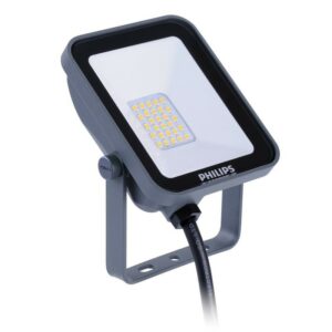 Reflektor LED Philips Ledinaire