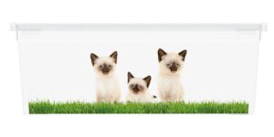 Úložný box velikosti XS motiv Puppy & Kitten