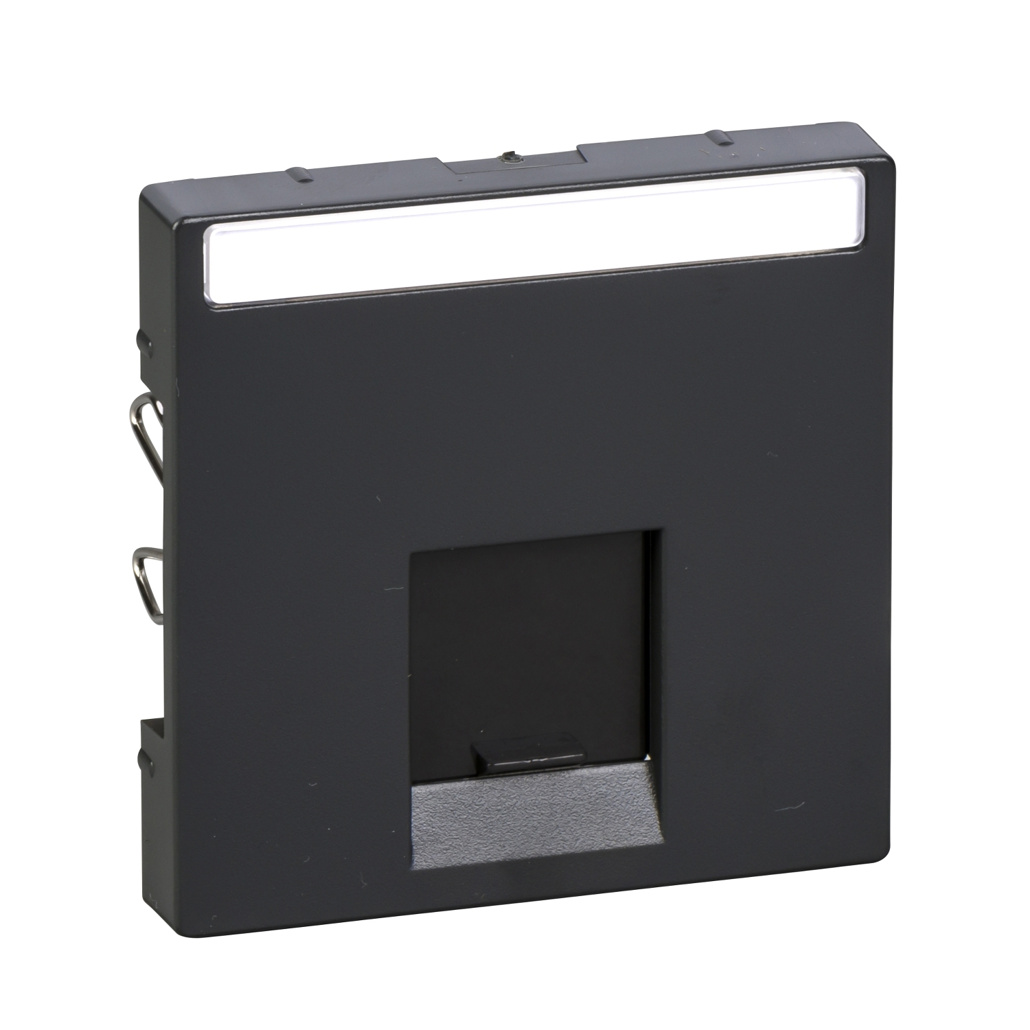 Kryt pro datovou zásuvku 1× RJ45 Schneider Merten