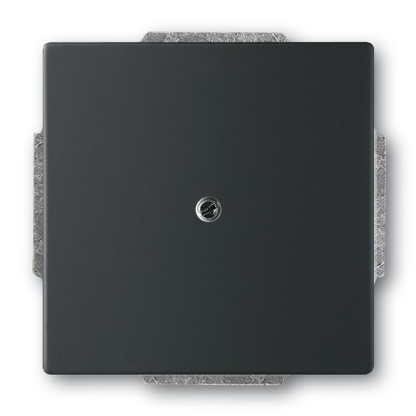 Záslepka ABB Future mechová černá ABB