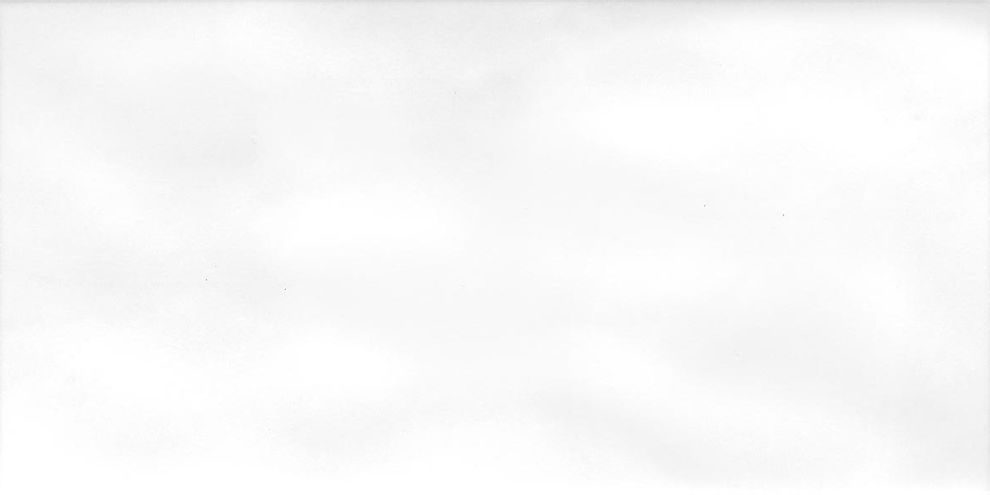 Obklad Rako System 30×60 cm bílá matná WARVK104