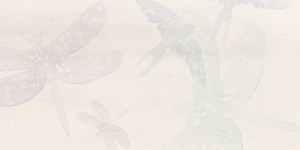 Dekor Rako Poem 30×60 cm světle šedá WADVK578