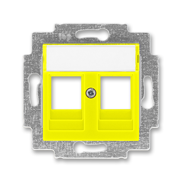Kryt zásuvka datová/komunikační dvojnásobná s popisovým polem ABB Levit žlutá ABB