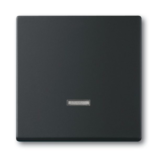 Kryt stmívač s průzorem ABB Future mechová černá ABB