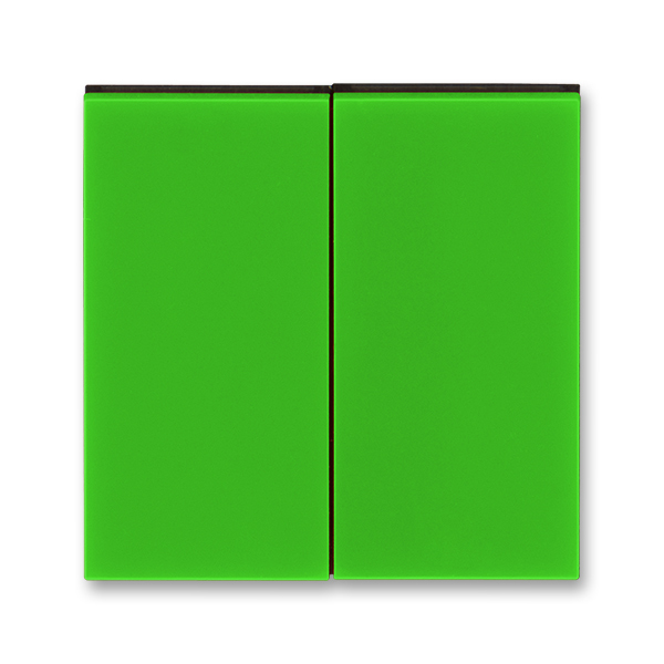 Kryt spínač dvojitý ABB Levit zelená