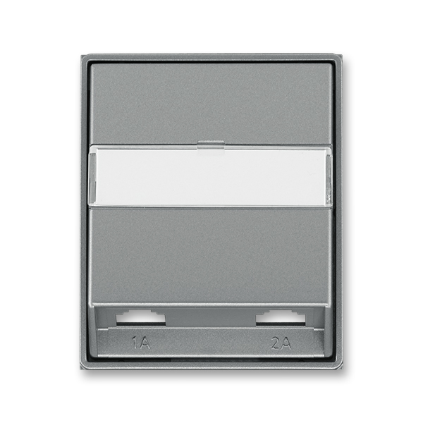 Kryt zásuvka telefonní dvojnásobná s popisovým polem ABB Time ocelová ABB