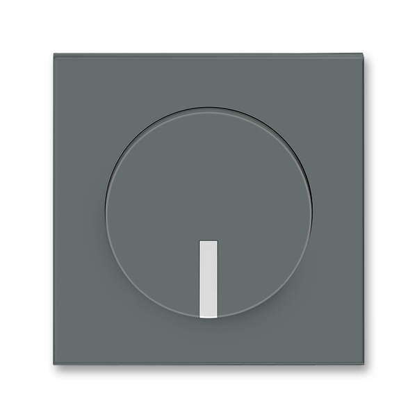 Kryt stmívač s průzorem ABB Neo grafitová