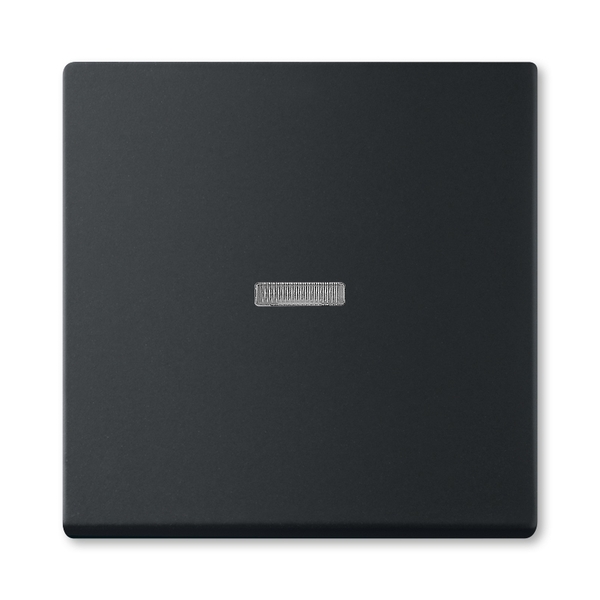 Kryt spínač jednoduchý s průzorem ABB Future mechová černá ABB