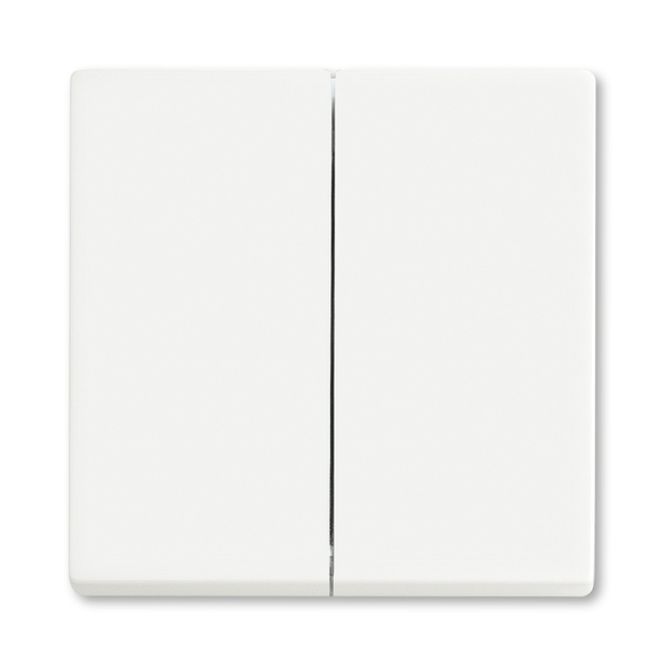 Kryt spínač dvojitý ABB Future mechová bílá ABB