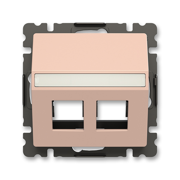 Kryt zásuvka komunikační/reproduktorová dvojnásobná s popisovým polem ABB Zoni pudrová