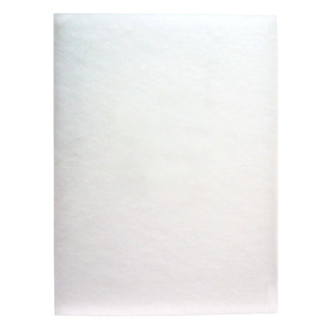 Filtr Regulus HR100W/HR30W Regulus